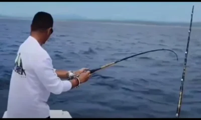 San Jose del Cabo Report Video 1