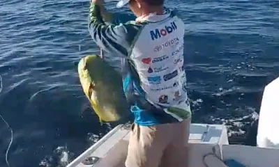 San Jose del Cabo Report Video 1