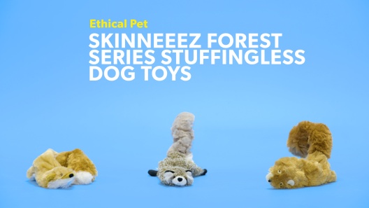 ETHICAL PET Skinneeez Forest Series Raccoon Stuffing-Free Squeaky Plush Dog  Toy, 14-in 