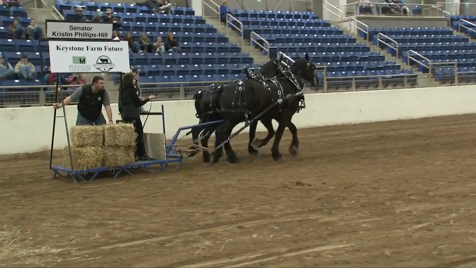 1/10/23 - 2023 Farm Show Celebrity Feed Scurry