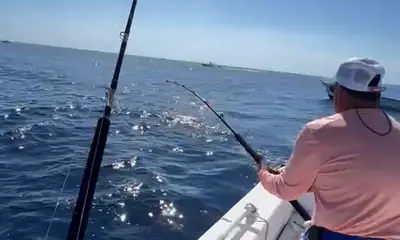 Tuna bitting okeei
