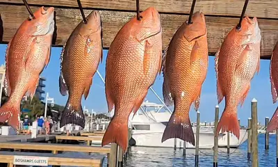 Destin Report Video 0