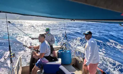 Haleiwa Report Video 0
