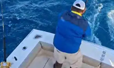 Cabo San Lucas Видео отчет 0