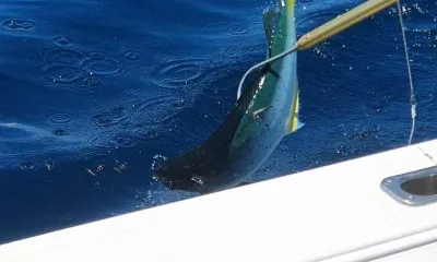 Panama City Report Video 1