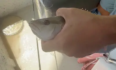 Highlight of our trip!!