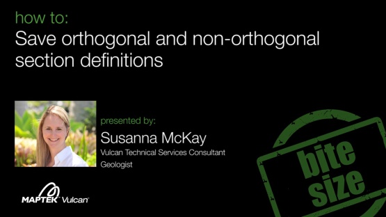 How to: Save orthogonal and non-orthogonal section definitions