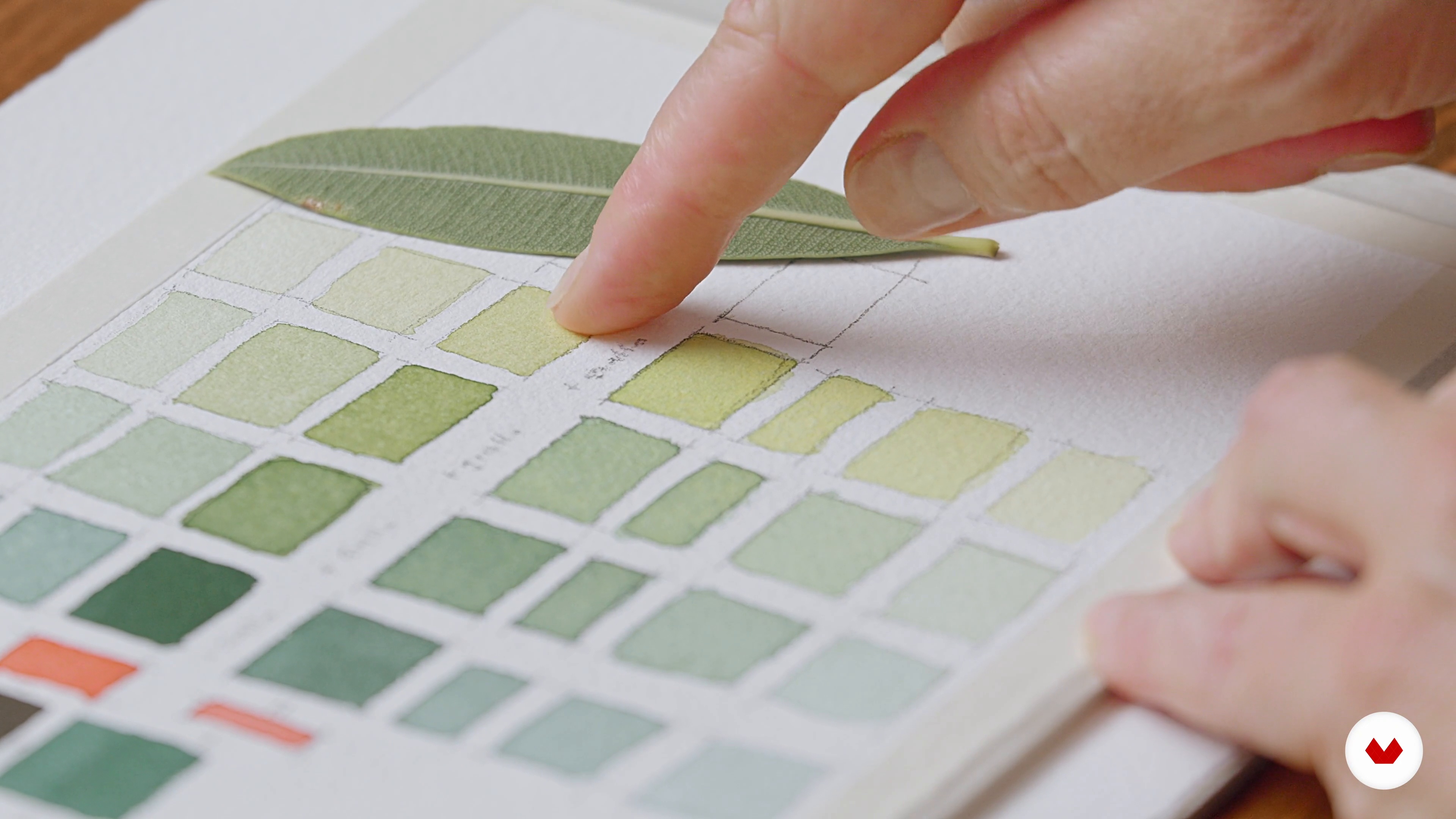 La prima fase del colore: le velature 1