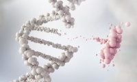 CRISPR-Cas9 Gene Editing