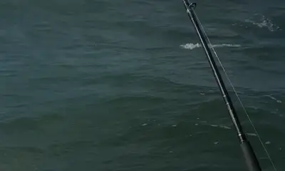 Galveston Report Video 0