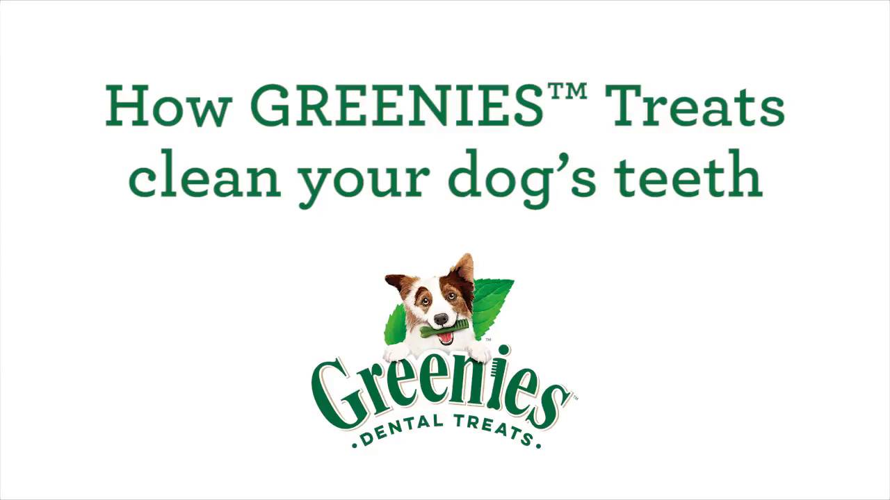 Greenies weight management hot sale dental dog treats