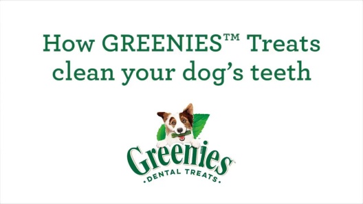 Play Video: Learn More About Greenies From Our Team of Experts