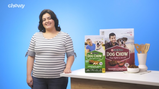 Play Video: Learn More About Dog Chow From Our Team of Experts