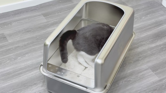 Ptlom Stainless Steel High Sided Cat Litter Box