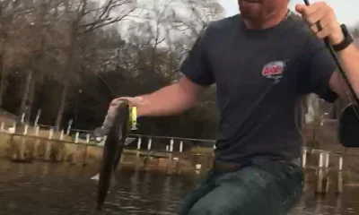 Quitman Report Video 0