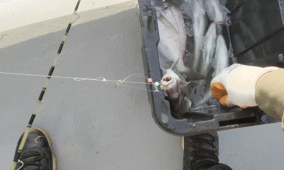 First Montauk Trip