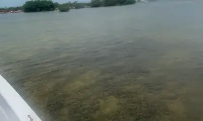 amazing bonefish experience