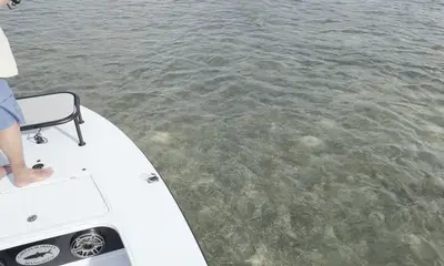 Upper Keys Report Video 3