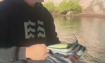 La Paz Report Video 0