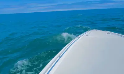 Dana Point Report Video 0
