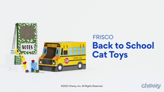 Play Video: Learn More About Frisco From Our Team of Experts