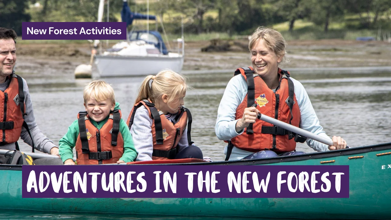 Fun Activities for Adults in The New Forest