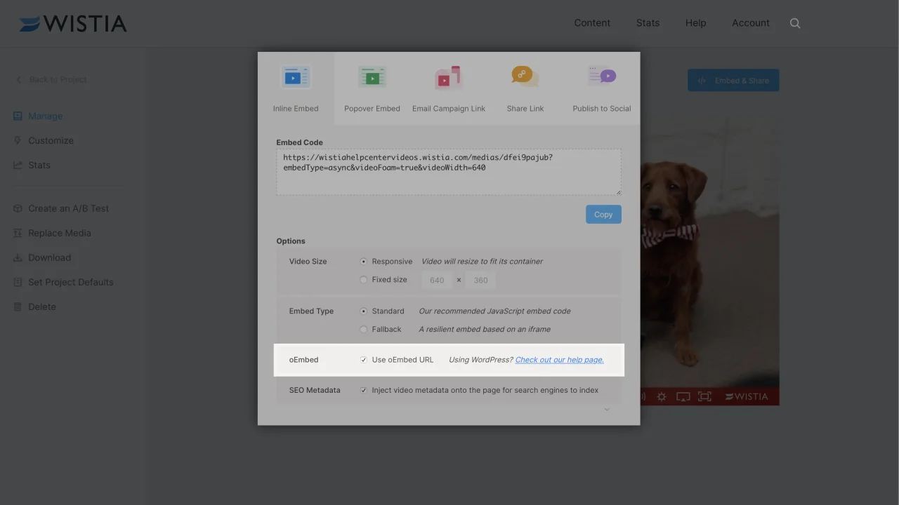 Some Known Incorrect Statements About Why Doesn't My Tagline Show Up In Thrive Themes