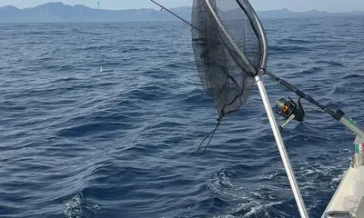 Awesome beginner friendly fishing action!
