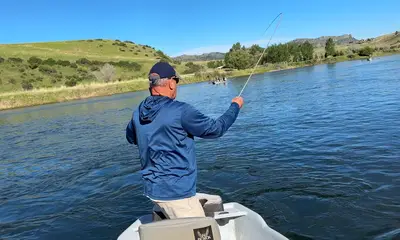 Great Experience 
