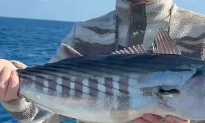 Your best experience on FTV