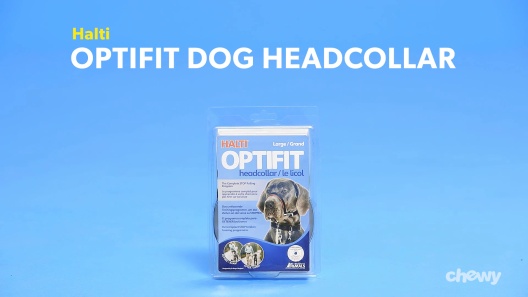 About  Optifit