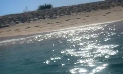 Perfect boat to paradise!