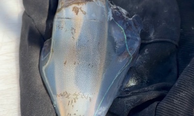 Best fishing trip for my family and kids