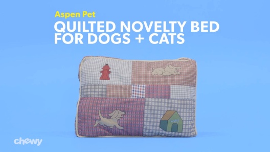 Play Video: Learn More About Aspen Pet From Our Team of Experts