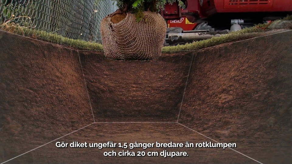 Play video