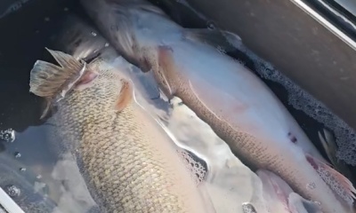 Lakeside Marblehead Report Video 0