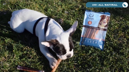 Play Video: Learn More About Amazing Dog Treats From Our Team of Experts