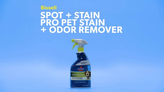 BISSELL Spot & Stain Professional Pet Stain & Odor Remover, 22-oz bottle 