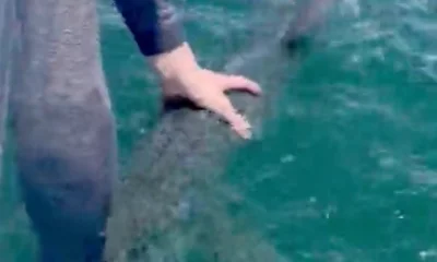Fort Lauderdale Report Video 0