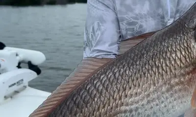 Lee County Report Video 1