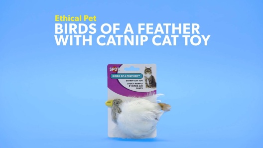 Play Video: Learn More About Ethical Pet From Our Team of Experts
