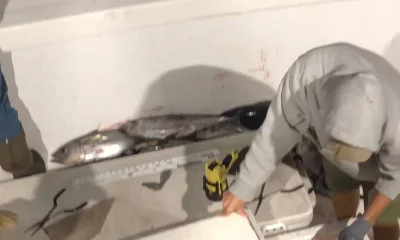 Orange Beach Report Video 2