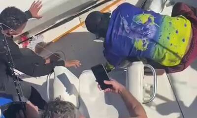 Blue Marlin Catch and Released