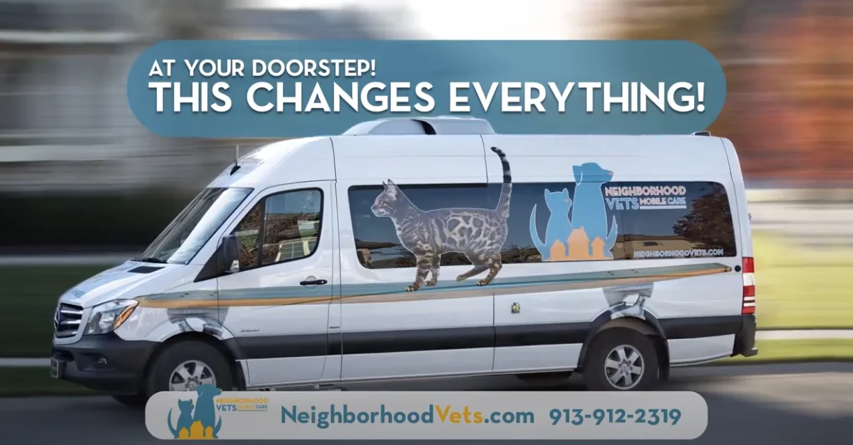 Introduction to mobile veterinary care