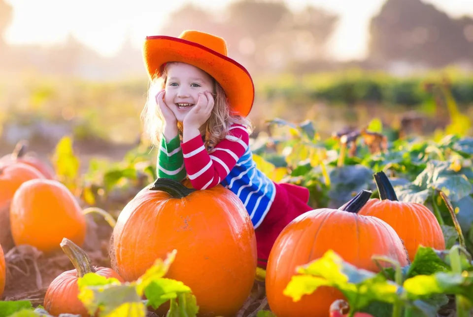 pumpkin patch hillsboro tx