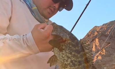 Bahía de los Ángeles Report Video 0