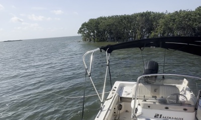 Top-Notch Captain — Kept Us on Fish All Day