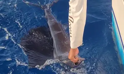 Cancún Report Video 0