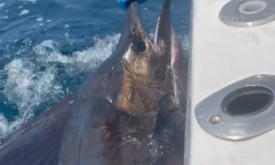 Punta Mita Report Video 0