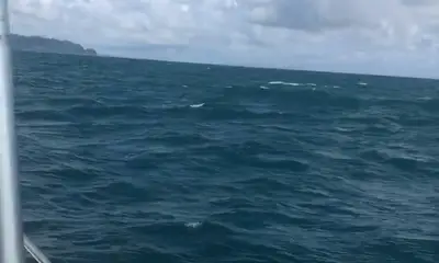 Herradura Report Video 0